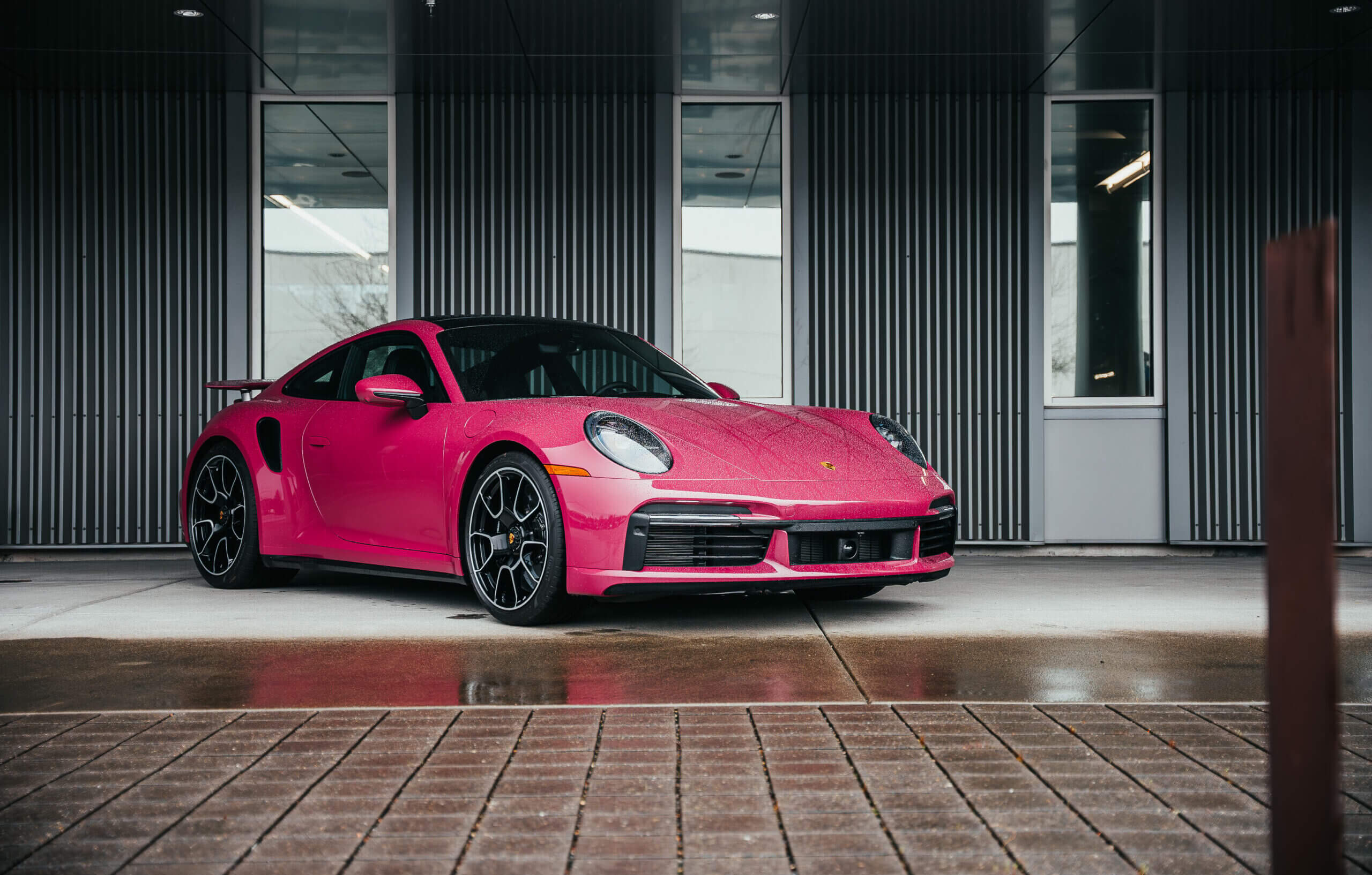 عکس محصول داینوشیلد